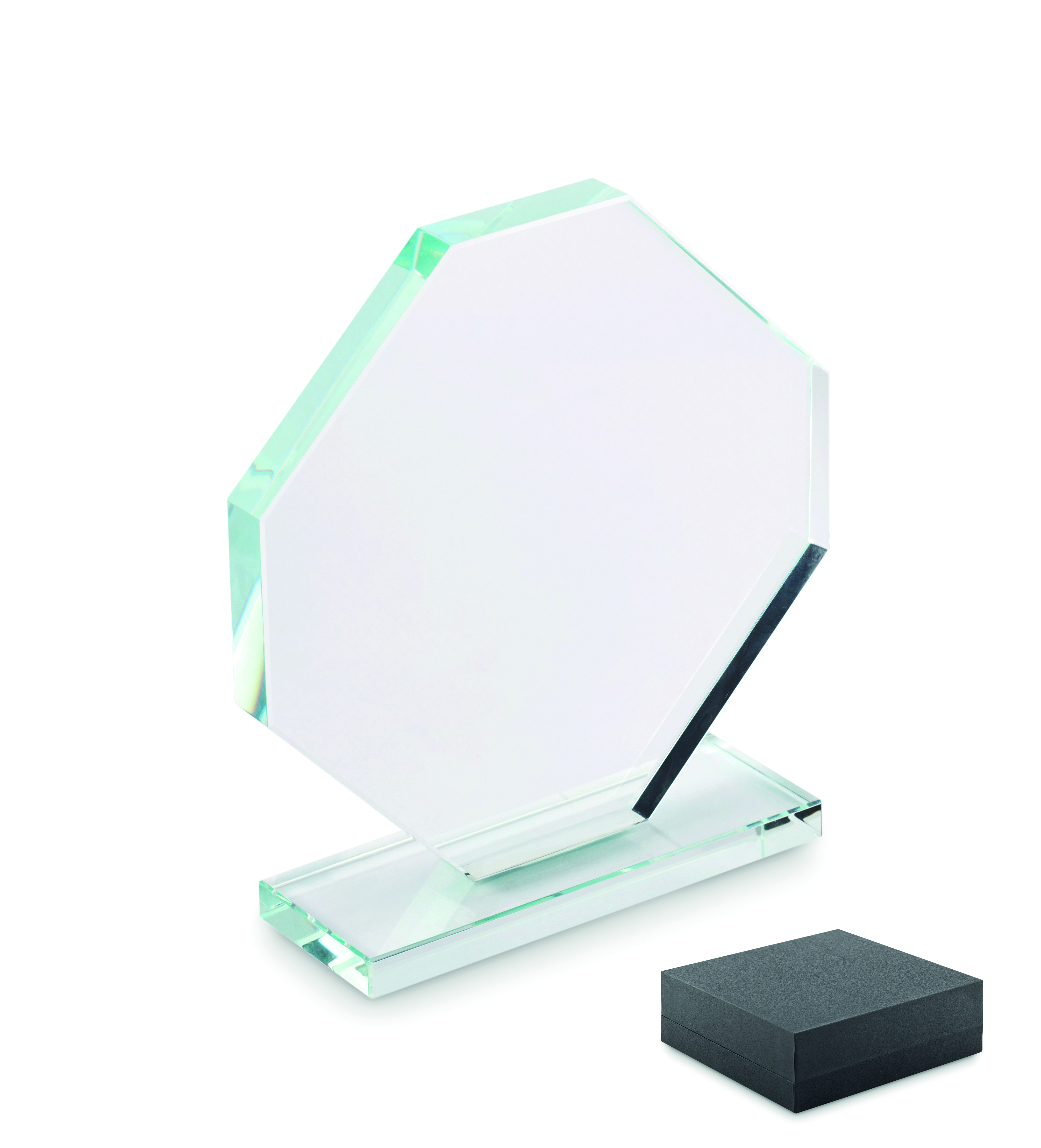 trophy rumbo with logo