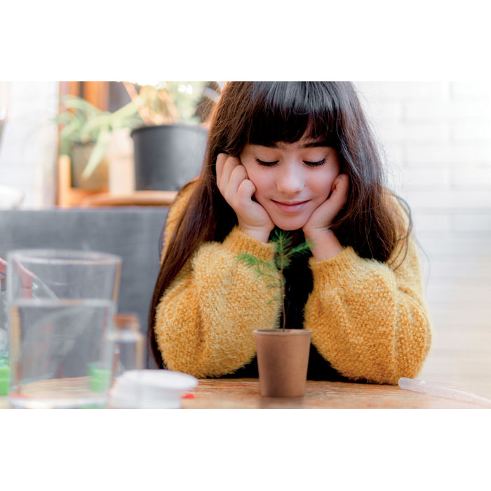 taimekasvatuskomplekt männipuu with logo