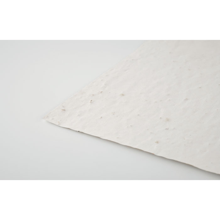 seemnepaber asidi with logo