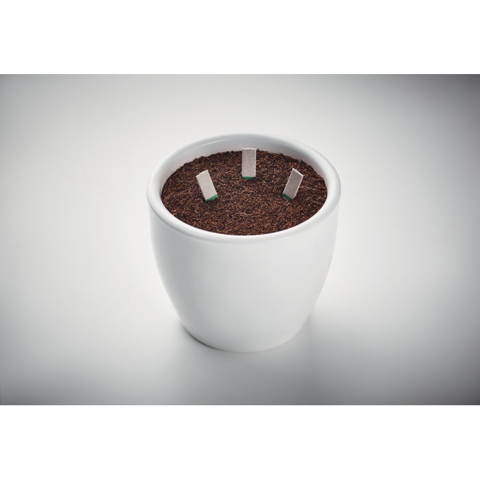 seemnepulgad leyti 10 tk with logo