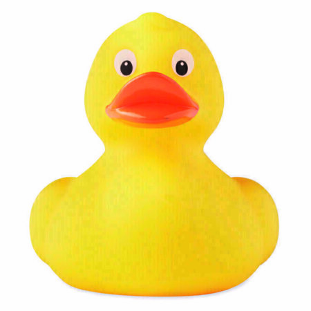 VANNIPART DUCKY