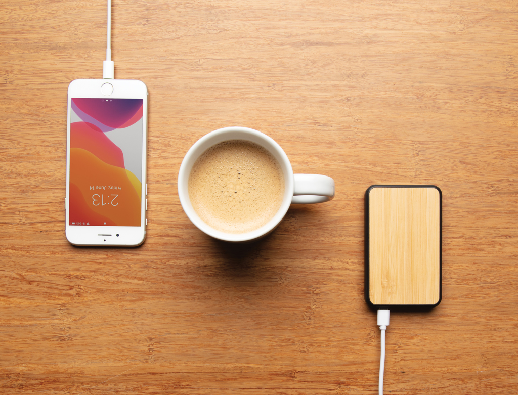 akupank 5000 mah bambus fsc 10 w with logo