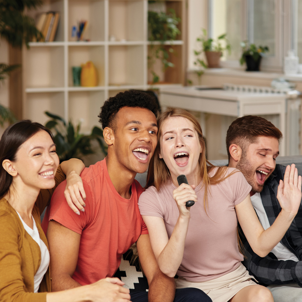 karaoke komplekt singvibe with logo