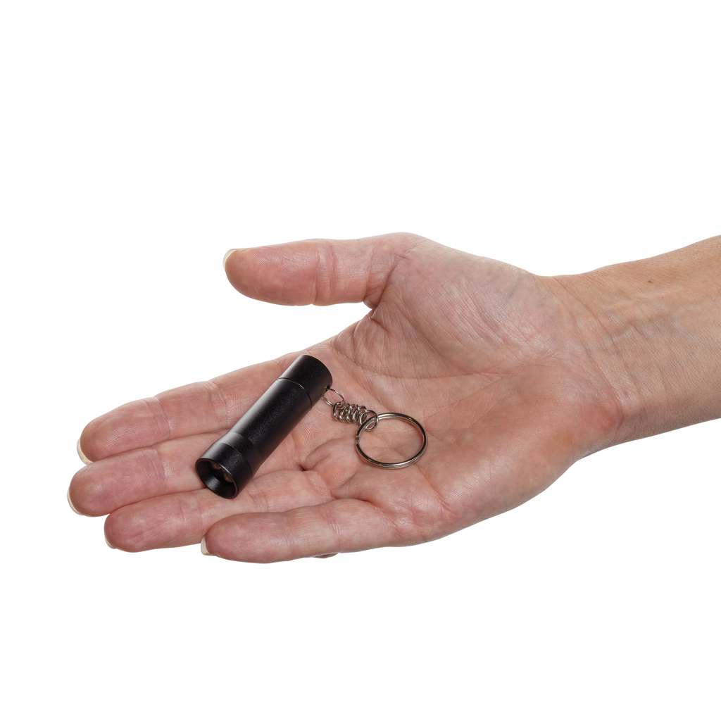 võtmehoidja flash with logo