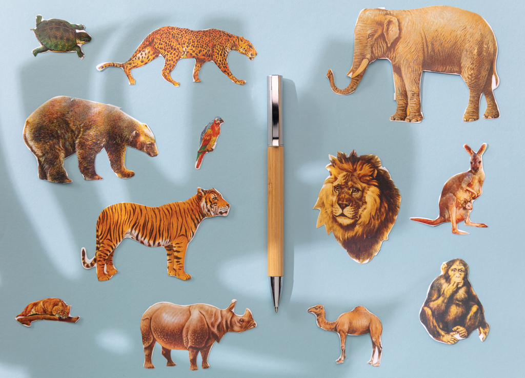 pastapliiats modern with logo