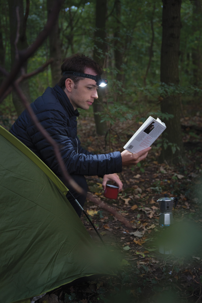 pealamp cob with logo